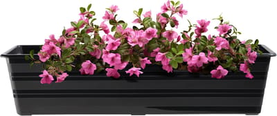 KADAX Wamat, 60 cm, met onderzetters, antraciet, balkonpot van kunststof, weerbestendige plantenbak, bloempot, balustrade voor bloemen, kruiden
