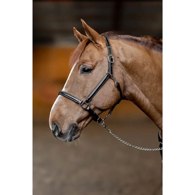 Leren halster voor paarden HFI Little Groom