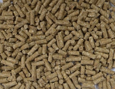 Fakkert Biologisch (vlees) varkensbrok 20KG