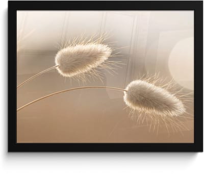 Poster in lijst - Fotolijst 40x30 cm - Posters - Hazestaartgras - Graanharen - Zonlicht - Posterlijst zwart - Decoratie - Wanddecoratie woonkamer - Muurdecoratie slaapkamer