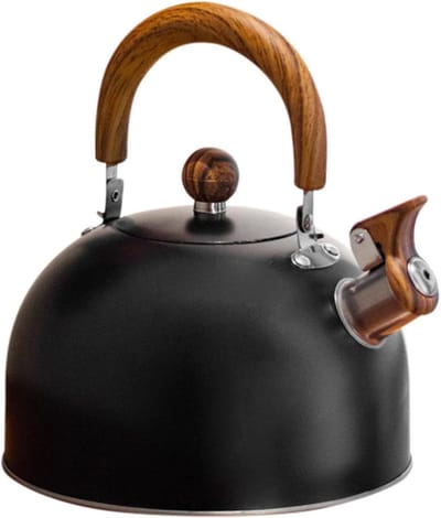 Fluitende Waterketel - Theeketel RVS - Water Koken - Luid Kookalarm - 3 Liter - Zilver