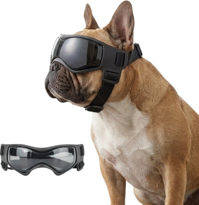 MAGICSHE Hondenbril Met Verstelbare Elastische Band - Zonnebril Hond Uv Voor Kleine En Middelgrote Honden Zwart M