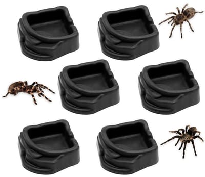 Mini-bakjes van hars, set van 6, geschikt als water- en voerbakjes voor spinnen, vogelspinnen, duizendpoten en kleine reptielen. Ideale accessoires voor terraria, stevig, duurzaam en veilig.