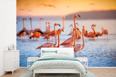 Behang - Fotobehang Flamingo - Dieren - Water - Roze - Breedte 600 cm x hoogte 400 cm
