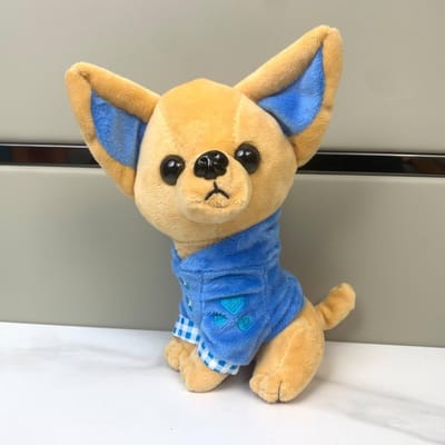 Simulatie Chihuahua Pluche Speelgoed Knuffeldieren Kamerdecoratie Puppy Pluche Speelgoed Zacht Kussen 18cm Gevuld Hondenpop Jongens Meisjes