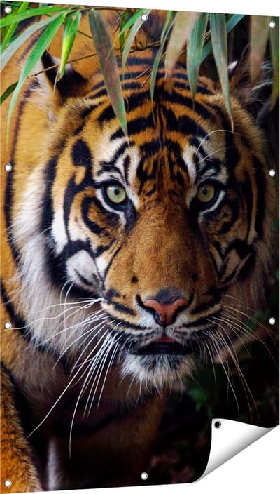Gards Tuinposter Tijger in de Jungle - 80x120 cm - Tuindoek - Tuindecoratie - Wanddecoratie buiten - Tuinschilderij