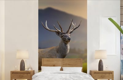Behang - Fotobehang Hert - Berg - Gras - Zonsondergang - Dieren - Natuur - Breedte 120 cm x hoogte 240 cm