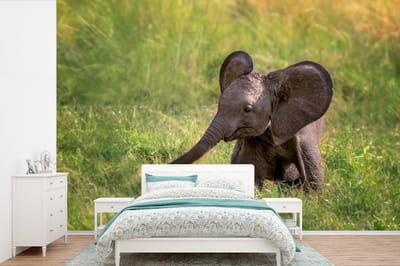 Behang - Fotobehang Baby olifant in het gras - Breedte 390 cm x hoogte 260 cm