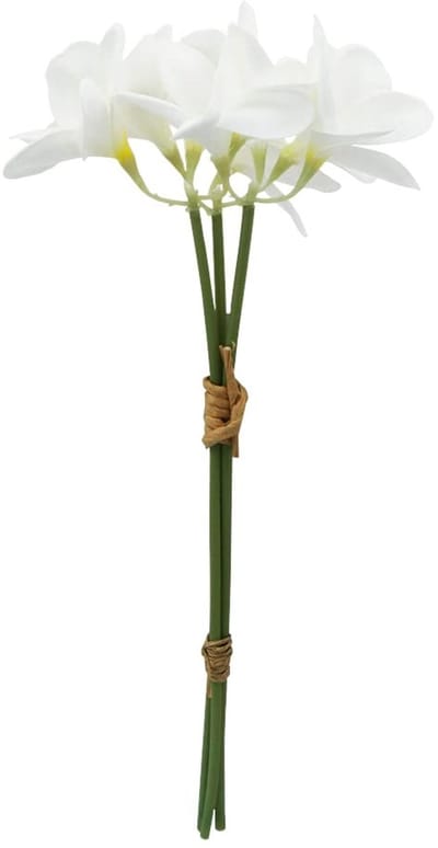 Dailygoods- Lei Kunstbloem - 9 Stuks - Latex - Frangipani - Bruiloft - Aloha - Zomerfeest - Bloemengirlande