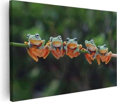 Artaza Canvas Schilderij Kikkers - 30x20 cm - Klein - Wanddecoratie Jungle - Muurdecoratie Dieren - Kamer Accessoires