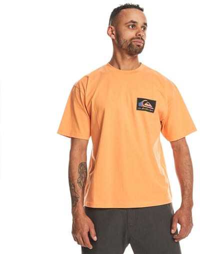 Quiksilver Back Flash T-shirt Met Korte Mouwen Oranje L Man