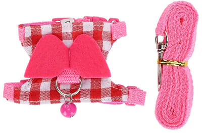 Dailygoody - Tuigje voor huisdieren - Riem set voor kleine dieren - Ademend en comfortabel - Roze - Geschikt voor eekhoorns en konijnen - Perfect voor.