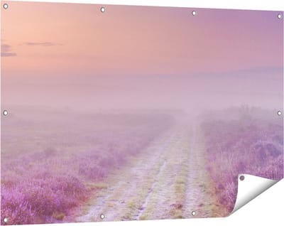 Gards Tuinposter Pad in de Weide tijdens de Mist - 120x80 cm - Tuindoek - Tuindecoratie - Wanddecoratie buiten - Tuinschilderij