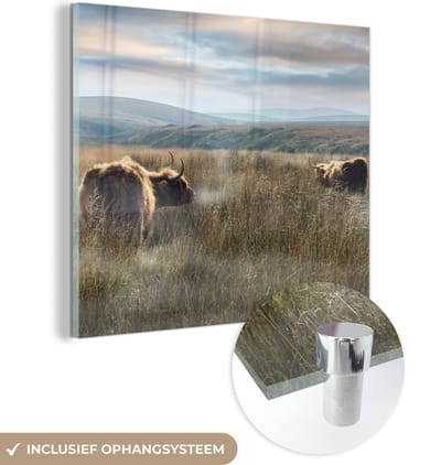 MuchoWow® Glasschilderij 50x50 cm - Schilderij acrylglas - Schotse Hooglanders - Mist - Gras - Foto op glas - Schilderijen