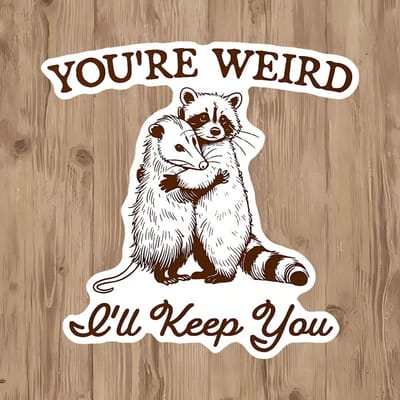 1 stuks  Je bent raar, ik houd je  Schattige Raccoon en Opossum Vinyl Sticker - Waterdichte en Duurzame Telefoonhoes Doodle Sticker - Meme Sticker - Perfect 5pcs white