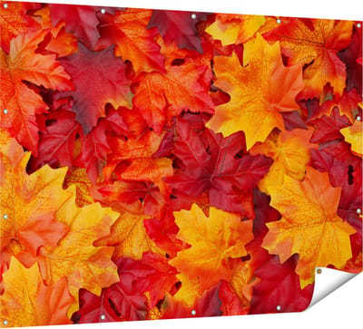 Gards Tuinposter Herfstbladeren in het Oranje en Rood - 160x120 cm - Tuindoek - Tuindecoratie - Wanddecoratie buiten - Tuinschilderij