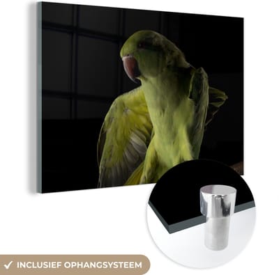 MuchoWow® Glasschilderij 120x80 cm - Schilderij acrylglas - Papegaai - Vogel - Tak - Foto op glas - Schilderijen