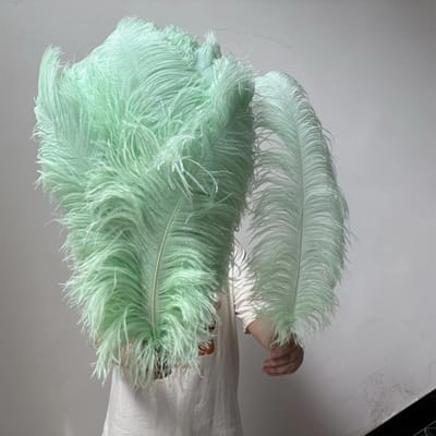 10 STUKS Licht Kaki Grote Struisvogelveren Bulk 15-60CM Lang Natuurlijke Pluizige Struisvogelveren voor Bruiloft Restaurant Vaas Decoratie 15-20cm 6-8inch