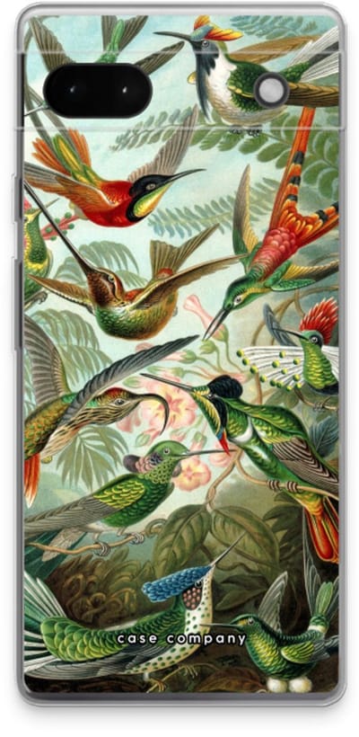 Case Company® - Hoesje geschikt voor Google Pixel 6a hoesje - Haeckel Trochilidae - Soft Cover Telefoonhoesje - Bescherming aan alle Kanten en Schermrand