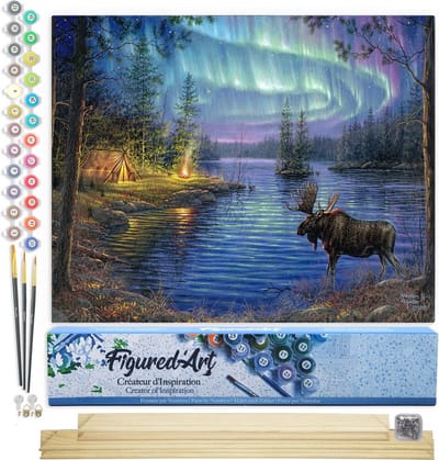 Figured'Art Schilderen op Nummer Volwassenen canvas Elan en Aurore Boreaal - Handwerk acrylverf Kit DIY Compleet - 40x50cm met DIY houten lijst
