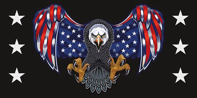 Signs-USA - Souvenir Kentekenplaat - metaal - American Eagle - 15 x 30 cm
