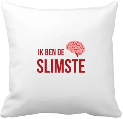 Akyol - ik ben de slimste Kussen hoes - Zelfvertrouwen - iemand die heel slim is - quote - cadeautje voor een slim persoon - nerd - kado - cadeau - gift - geschenk - verrassing - slimme mensen - 40 bij 40 cm