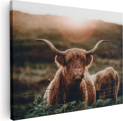 Artaza Canvas Schilderij Hooglander - 40x30 cm - Klein - Muurdecoratie Dierenkop - Wanddecoratie Woonkamer - Schilderijen Op Canvas