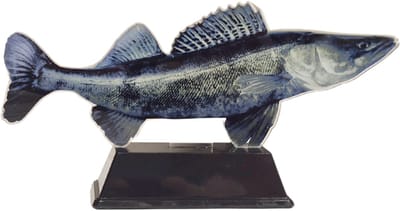 Vistrofee Real Fish Snoekbaars 23 cm - Prijs Snoekbaarswedstrijd Beker Viswedstrijd Snoekbaars