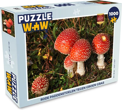 Puzzel Rode paddenstoelen tegen groen gras - Legpuzzel - Puzzel 1000 stukjes volwassenen