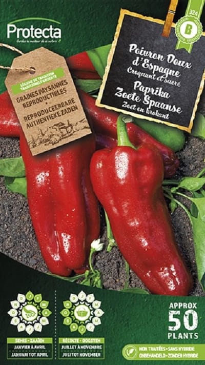 Protecta Groente zaden: Paprika Zoete Spaanse