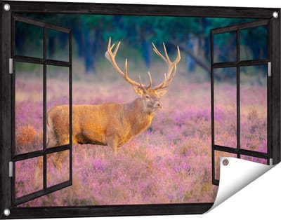 Gards Tuinposter Doorkijk Hert in de Weide tijdens Zonsondergang - 90x60 cm - Tuindoek - Tuindecoratie - Wanddecoratie buiten - Tuinschilderij