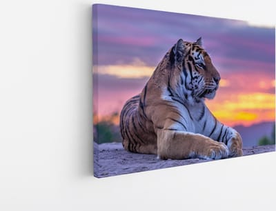 Saammp Canvas Schilderij - Tijger op steen tijdens zonsondergang - Natuur - Dieren - 30x20 - Foto op canvas - Wanddecoratie - muurdecoratie Woonkamer - Slaapkamer decoratie - Canvas Print