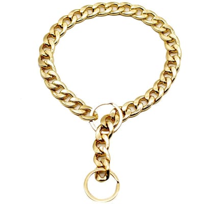 Hondenkettingsieraad Metalen Gouden Halsband Ketting Huisdier Sieraden Accessoires voor Alle Seizoenen