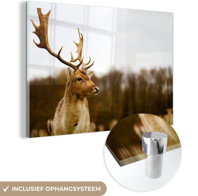 MuchoWow® Glasschilderij 150x100 cm - Schilderij acrylglas - Damhert - Bos - Kudde - Dieren - Natuur - Foto op glas - Schilderijen