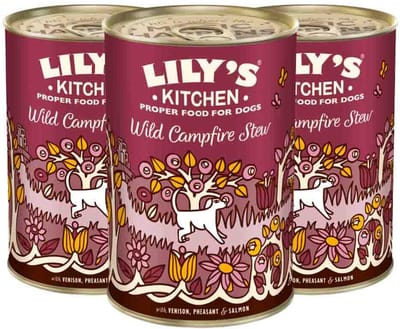 Lily's Kitchen Hondenvoer Nat Wild Campfire Stew Hert - Fazant - Zalm - 3 x 400 gr - Voordeelverpakking