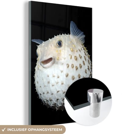 MuchoWow® Glasschilderij 120x180 cm - Schilderij acrylglas - Vis - Zeedieren - Portret - Foto op glas - Schilderijen
