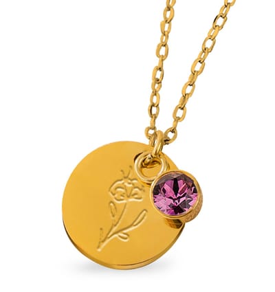 Geboortesteen met Geboortebloem Ketting I Februari Goud