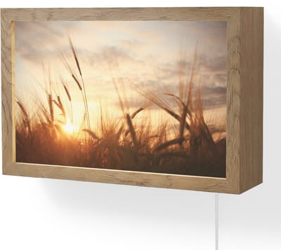 Wandlamp 30x20 cm - Oplaadbaar - Riet - Gras - Zonsondergang - Natuur - Horizon - Wandlampen binnen woonkamer - Slaapkamer lamp met kabel - Decoratieve nachtlamp - Vloerlamp snoer