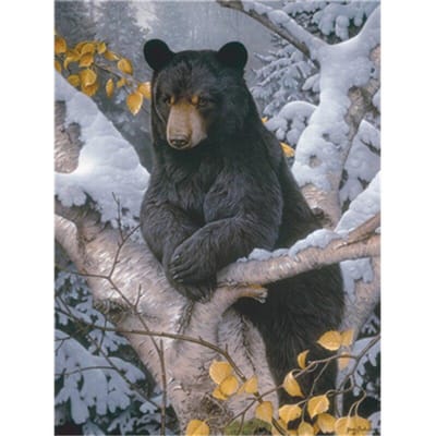 Photos animaux peinture à l'huile par numéros ours Kits dessin toile bricolage hiver peint à la main décor à la maison 20X30CM black