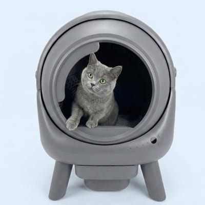 Cattura Automatische Kattenbak met App - Zelfreinigend, Kittenproof, Geurloos & Veilig