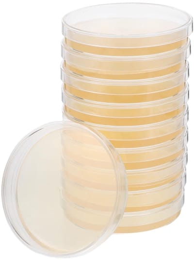 Petri Schalen met R2a Agar Platen, Voor Wetenschappelijke Experimenten, 100 mm, Dextrose Agar, Set van 10 Stuks