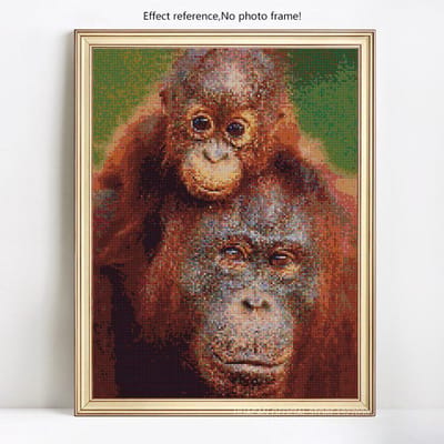 Diamant schilderij kruissteek orang-oetan 5D DIY volledige dille rond dier strass 20X30CM black