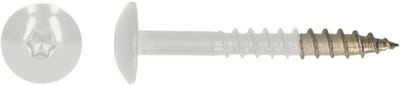 PGB-FASTENERS | HPL schroef Tx20 4,8x38 R9016 A4