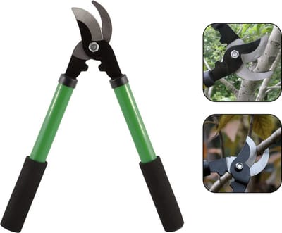 PD® - Snoeischaar - Takkenschaar - 38CM - Groen - Takkenschaar Klein Met Aambeeld 38 cm - Messen Met Tefloncoating - Snoeien - Takken - Planten - Bloemen