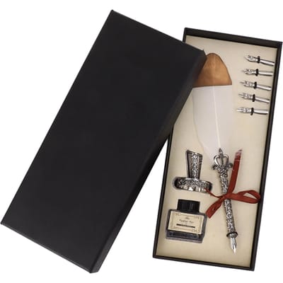 Set de plumes d'oie Antique Exquis 5 Plumes de Rechange Plume d'Oie avec Bouteille d'Encre pour Hommes Femmes beige