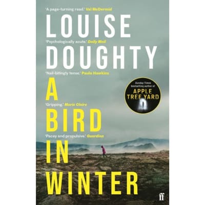 A Bird In Winter - Louise Doughty