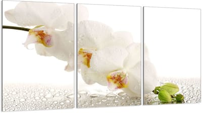 TMK ArtDeko - Snijplank van Gehard Glas - 3x 30x52 cm - Beschermingspaneel