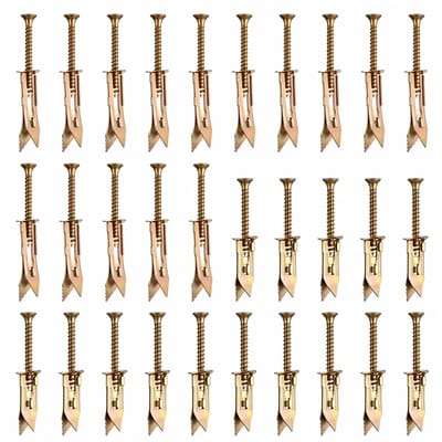 Cosensi - Dailygoods - Zelfborende Gipsplaatpluggen met Schroeven, 60 Stuks