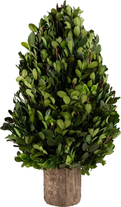 Dekoratief | PlantenKegel vorm op voet, groen/naturel, PVC, 21x21x39cm | A240967