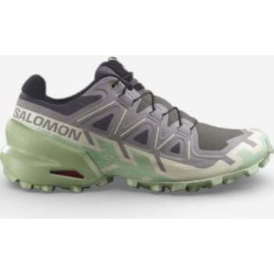 Lage Sneakers Salomon Wmns Speedcross 6 'Castlerock Smoke Green'